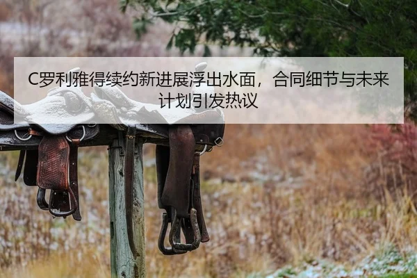 C罗利雅得续约新进展浮出水面，合同细节与未来计划引发热议